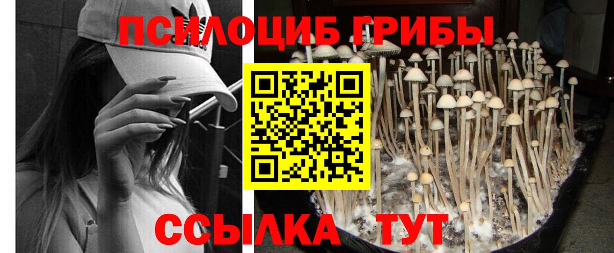 магазин продажи   Галлюциногенные грибы мицелий  Ногинск  Вход с VPN  Псилоцибиновые грибы Cubensis 